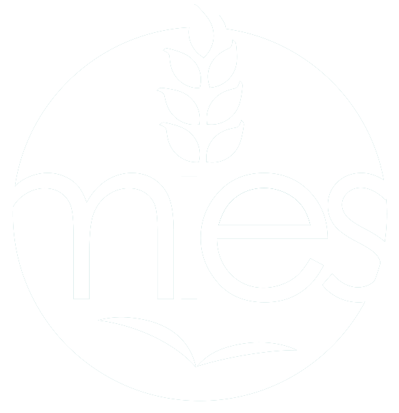 MIES